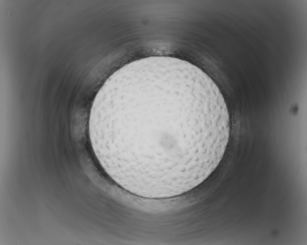 X0000116140030201001041042