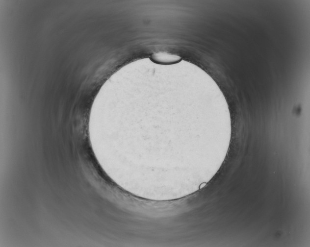 X0000116140031201001041042