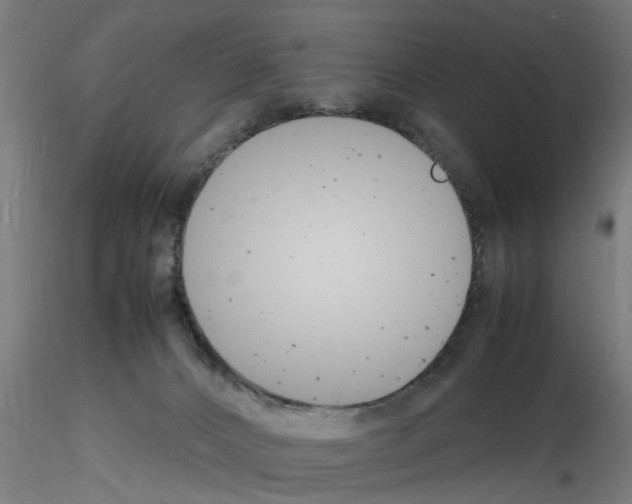 X0000116140032201001041042