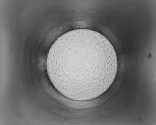 X0000116140034201001041042