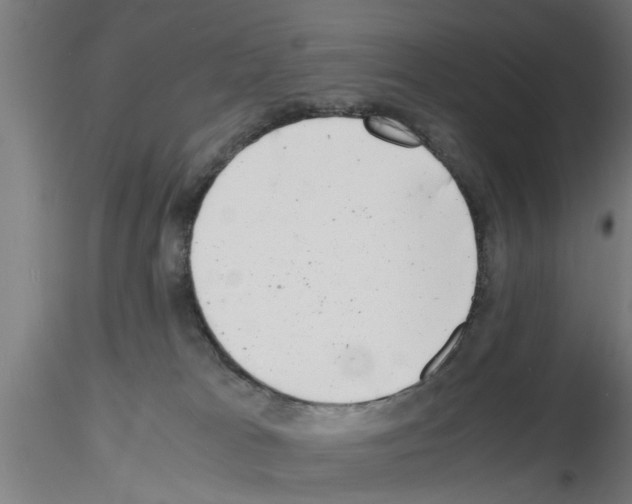 X0000116140037201001041041