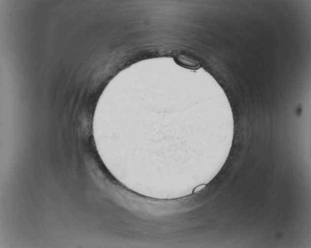 X0000116140039201001041041