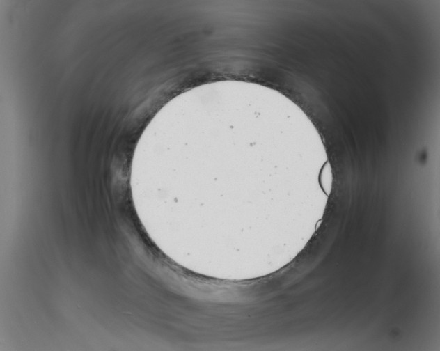 X0000116140040201001041041