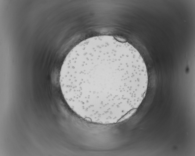 X0000116140044201001041041