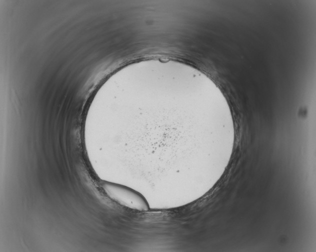 X0000116140050201001041041