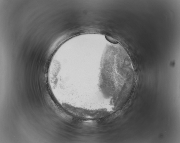 X0000116140053201001041041