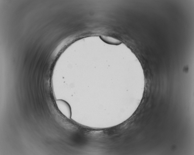 X0000116140054201001041041