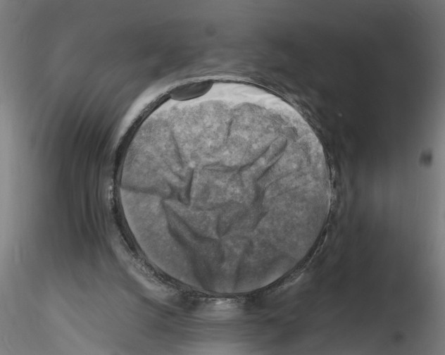 X0000116140056201001041041