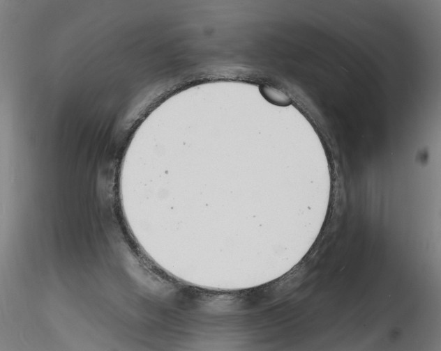 X0000116140058201001041041