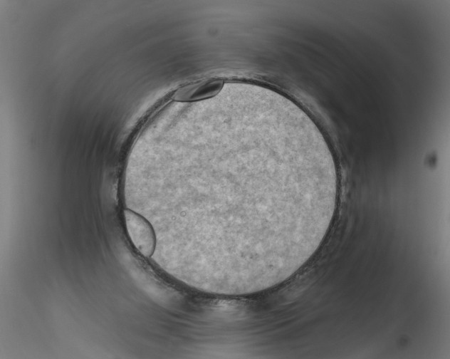 X0000116140060201001041041