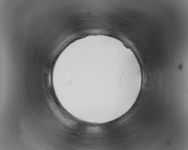 X0000116140061201001041041