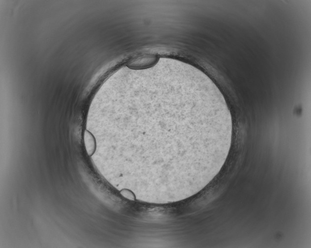 X0000116140064201001041041