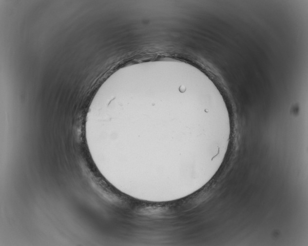 X0000116140065201001041041