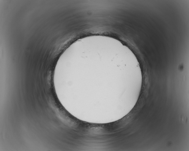 X0000116140066201001041041