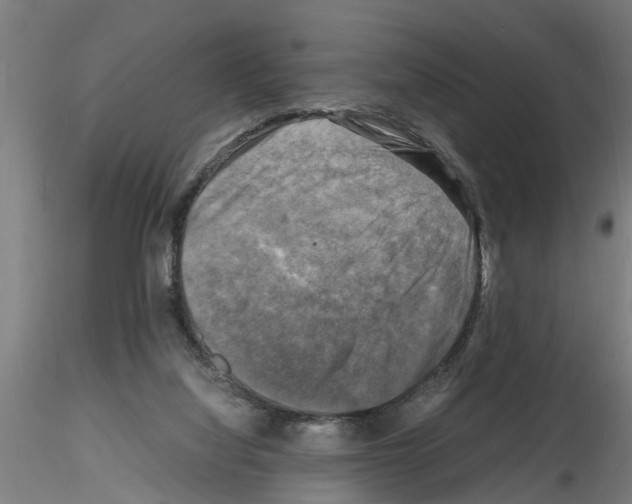 X0000116140068201001041041