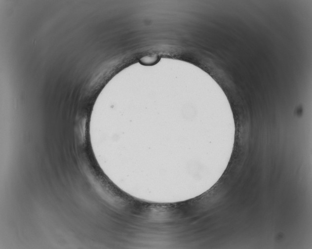 X0000116140070201001041041