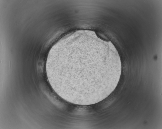 X0000116140072201001041041