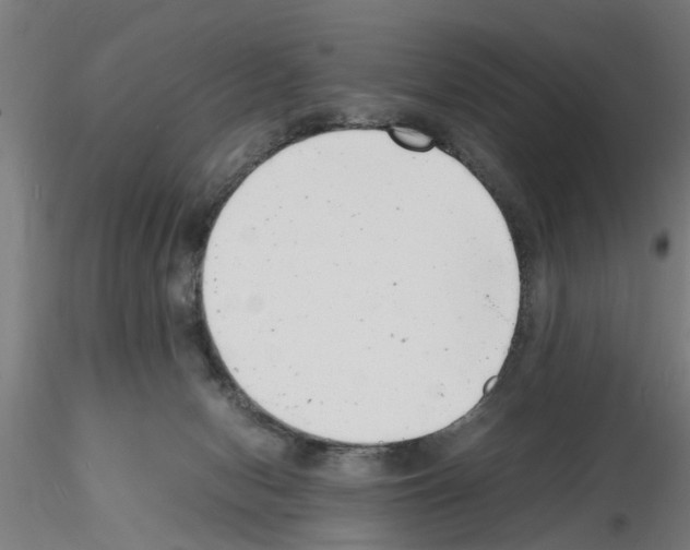 X0000116140078201001041041