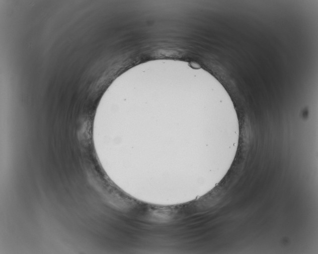 X0000116140079201001041041