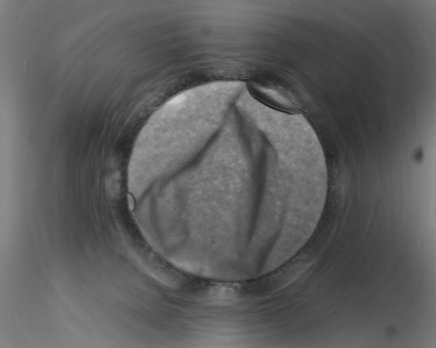 X0000116140080201001041041