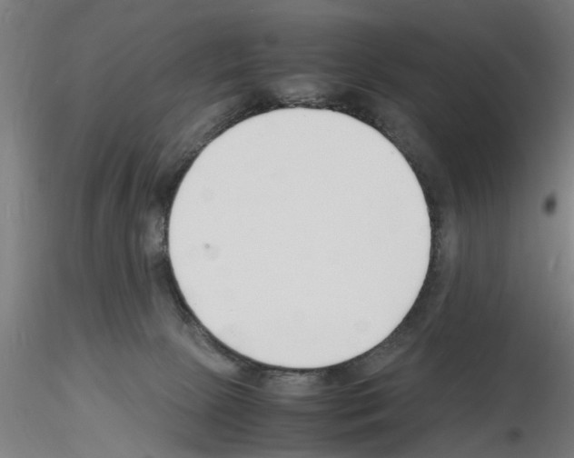 X0000116140081201001041041