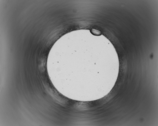 X0000116140082201001041041