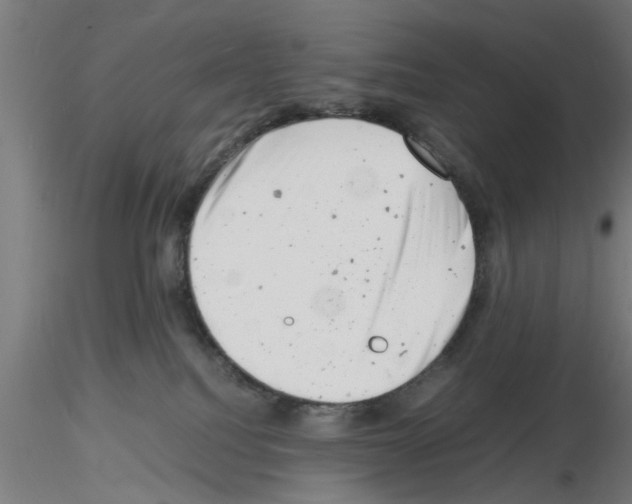 X0000116140088201001041041