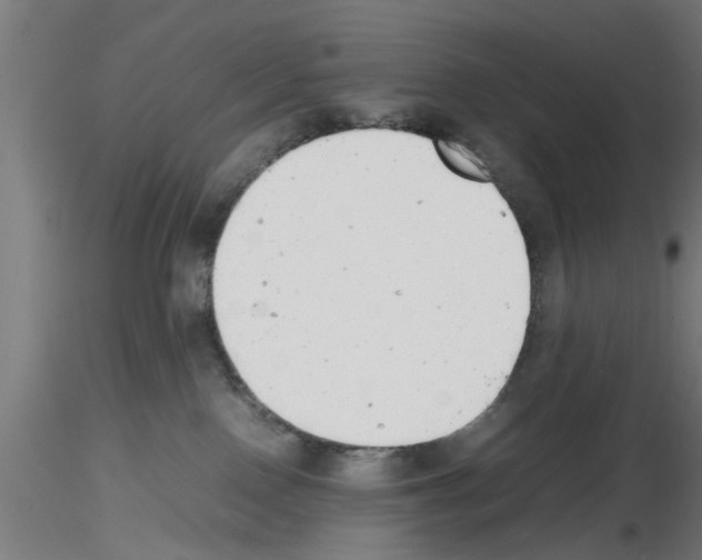 X0000116140090201001041041