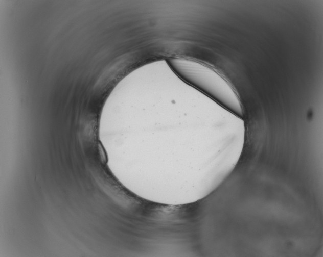 X0000116140092201001041041