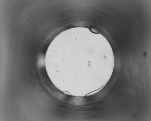 X0000116140095201001041041