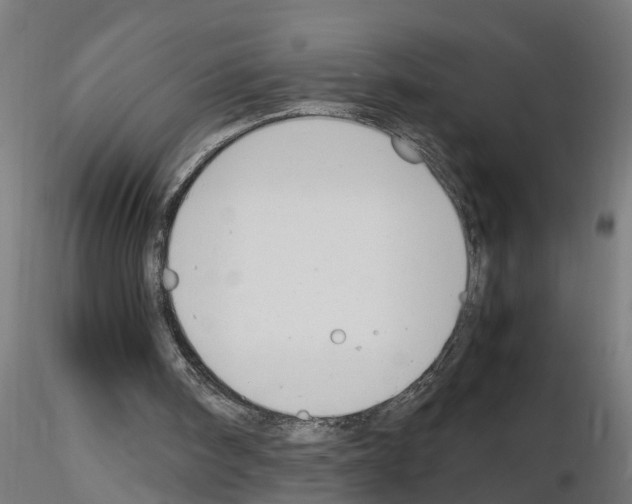 X0000116140098201001041041