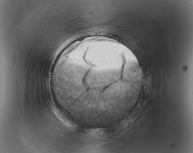 X0000116140100201001041041