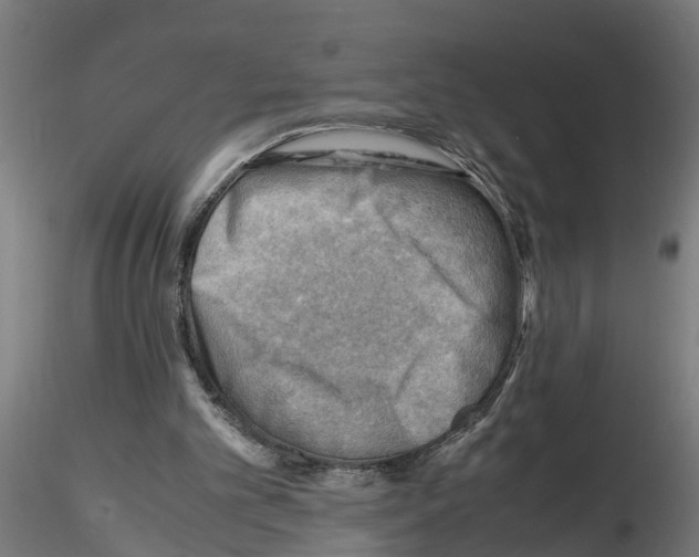 X0000116140101201001041041