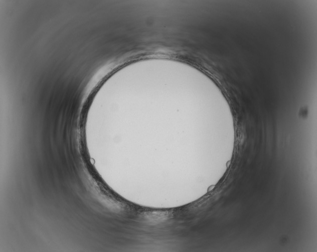 X0000116140102201001041041