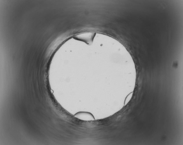 X0000116140103201001041041