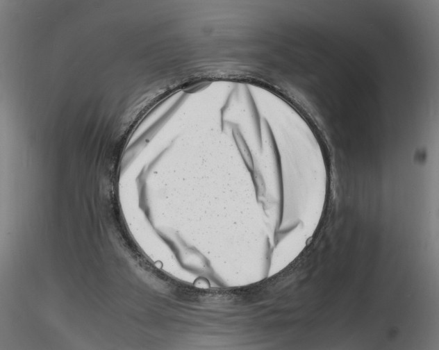 X0000116140105201001041041