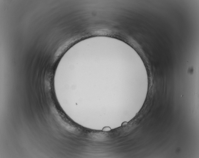 X0000116140106201001041041