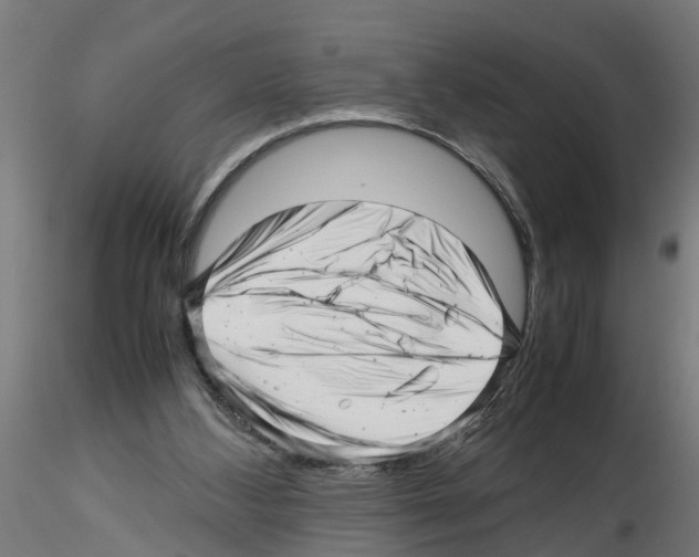 X0000116140108201001041041