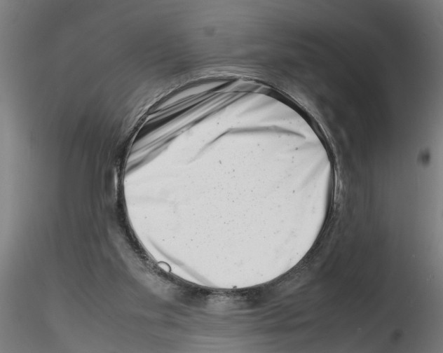 X0000116140109201001041041