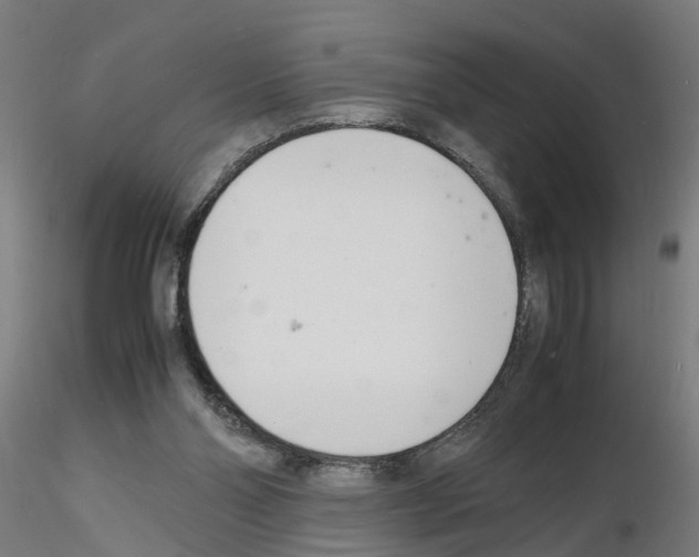 X0000116140110201001041040