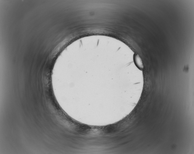 X0000116140111201001041040