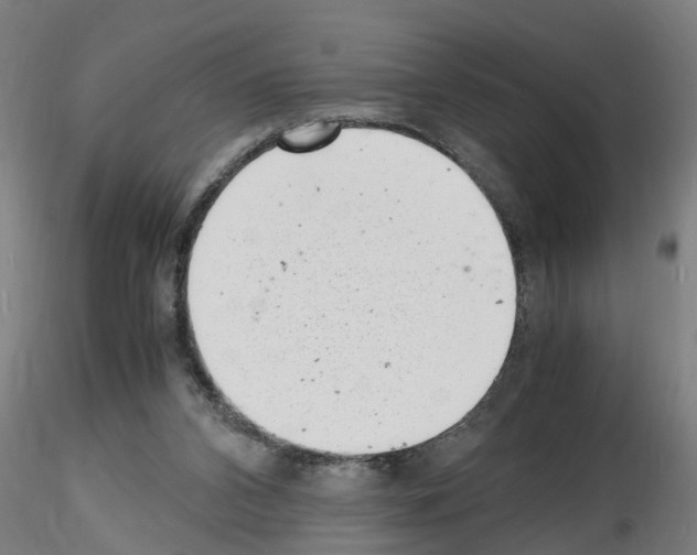 X0000116140112201001041040