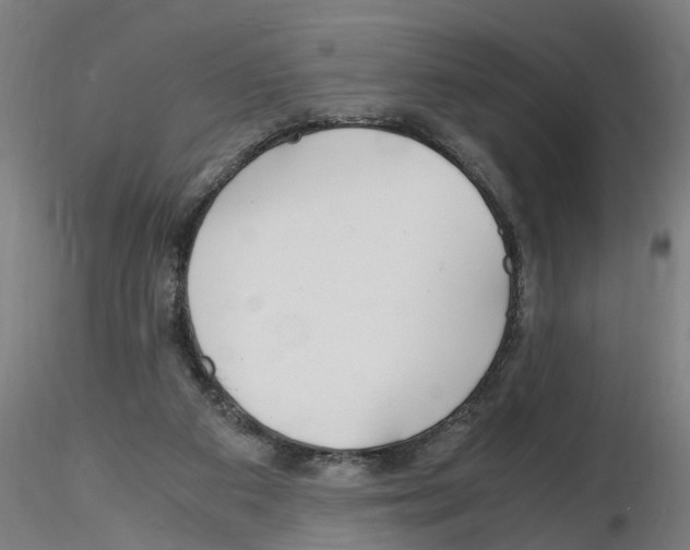 X0000116140113201001041040