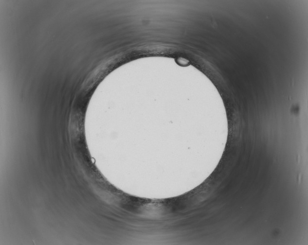 X0000116140119201001041040