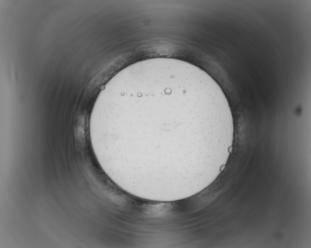 X0000116140122201001041040