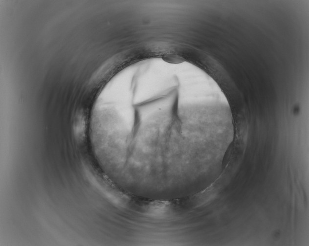 X0000116140124201001041040