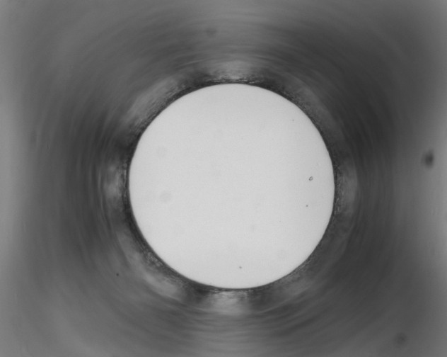 X0000116140126201001041040