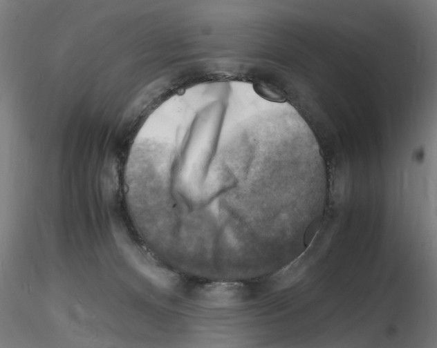 X0000116140128201001041040