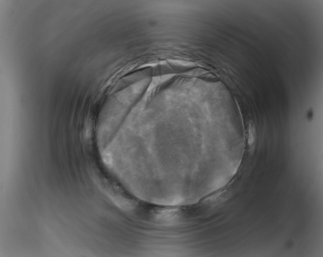 X0000116140132201001041040