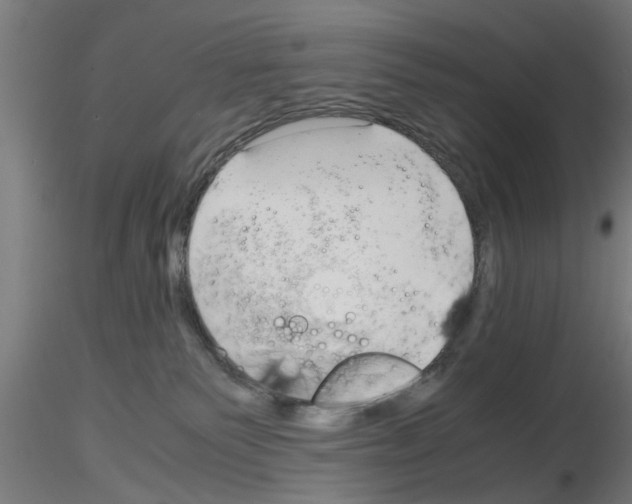 X0000116140135201001041040